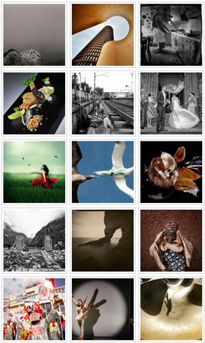 Finalistes des Photographies de l'Année 2013