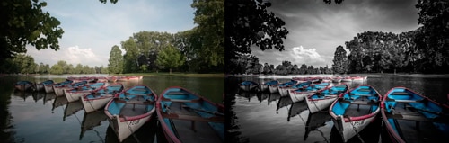 Tutoriel Lightroom gratuit : créer une photo avec un noir et blanc sélectif