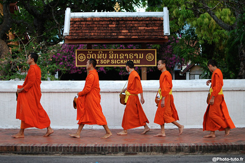 Le Tak Bat (cérémonie d’offrandes aux moines) se déroule quotidiennement au petit matin à Luang Prabang