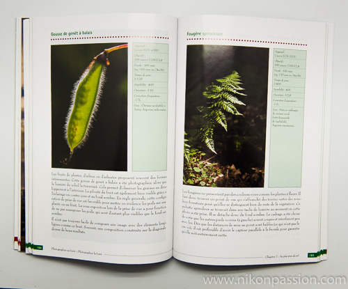 Photographier la forêt, photographier en forêt : initiation à la prise de vue, méthode et guide pratique