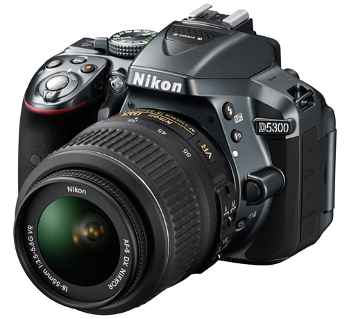 Le capteur 24Mp du Nikon D5300