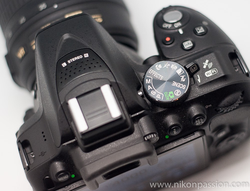 Test terrain : 15 jours avec le Nikon D5300