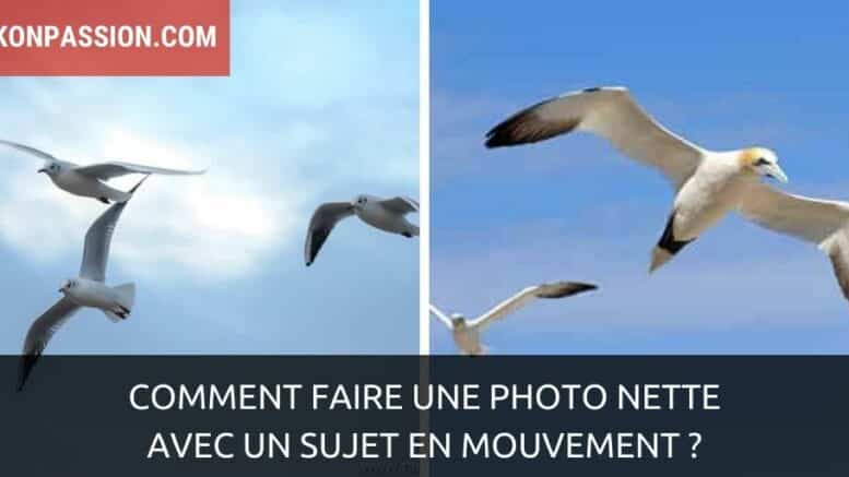 Comment faire des photos nettes à l'improviste