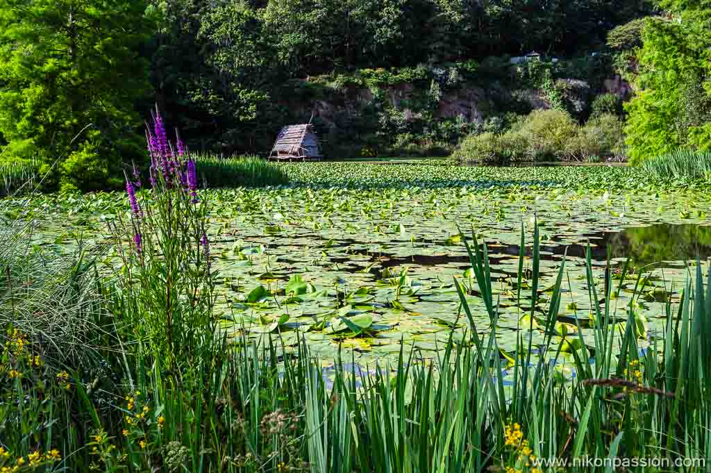Les parcs municipaux se prêtent à la photo nature