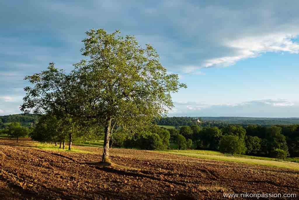 La lumière de fin de journée est toujours plus belle