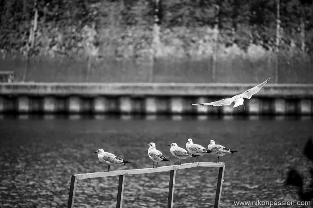 Pas tout à fait depuis ma fenêtre, mais l'idée est la même
