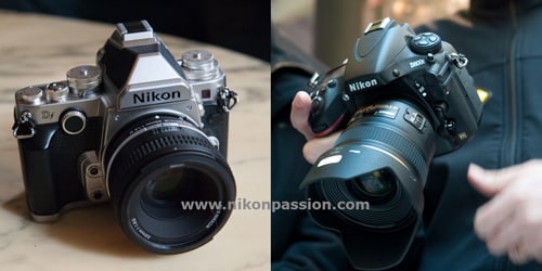 comparaison_nikon_df_nkon_d800.jpg