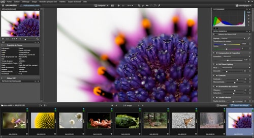 8 conseils pour traiter vos images nature avec DxO Optics Pro : le tutoriel pas à pas