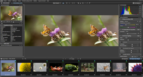 8 conseils pour traiter vos images nature avec DxO Optics Pro : le tutoriel pas à pas