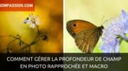 Comment gérer la profondeur de champ en photo rapprochée et macro