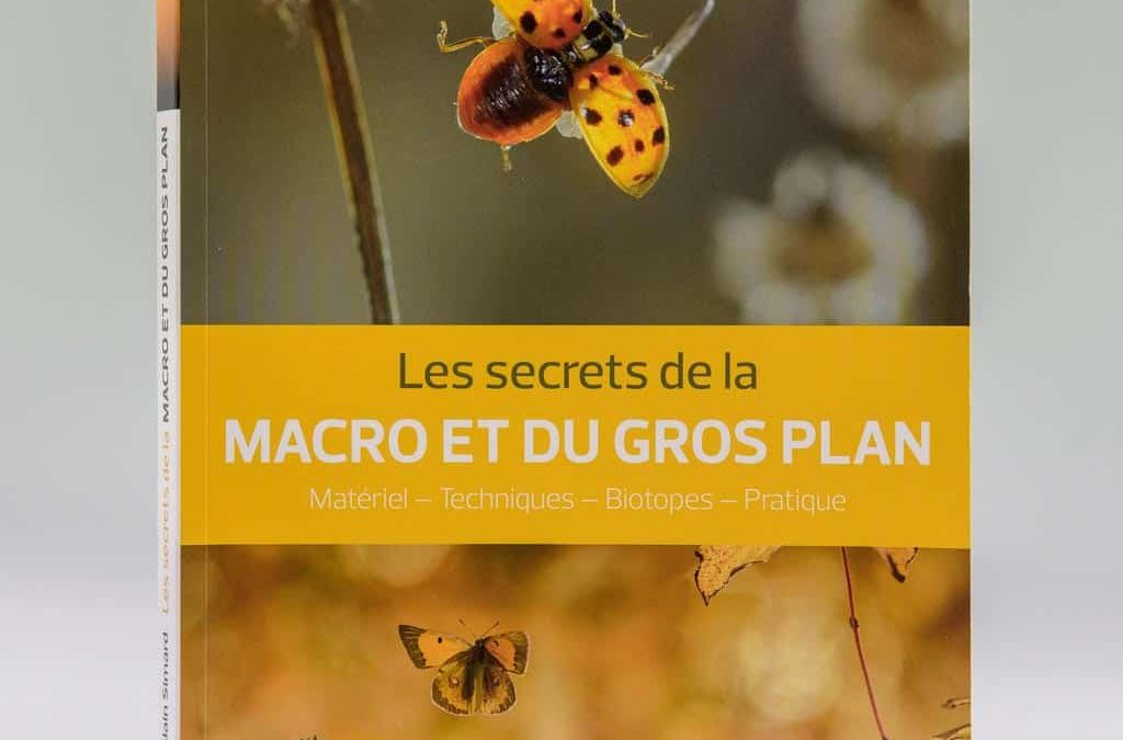 Macro photo et gros plan : comment faire pour réussir vos prises de vues macro