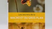 Macro photo et gros plan : comment faire pour réussir vos prises de vues macro