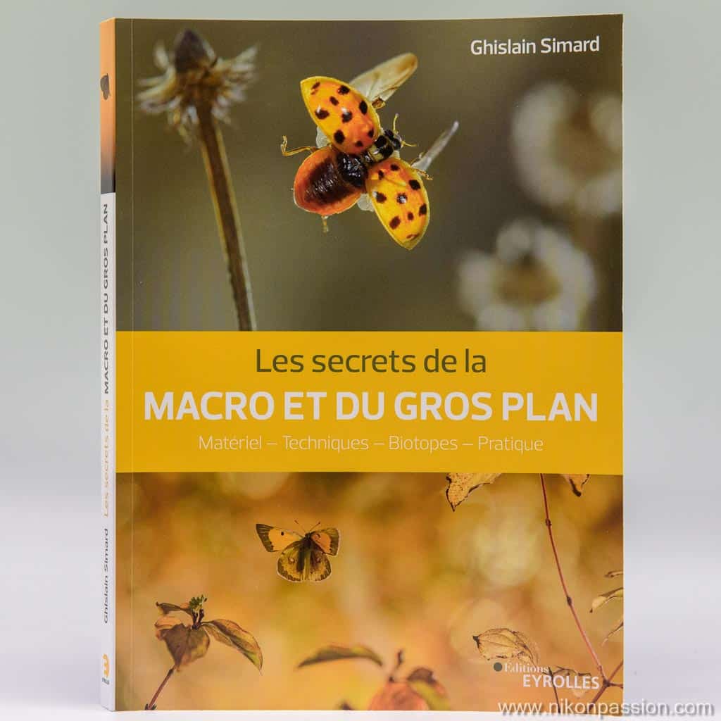 Macro photo et gros plan : comment faire pour réussir vos prises de vues macro