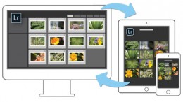 lightroom_mobile_ipad.jpg