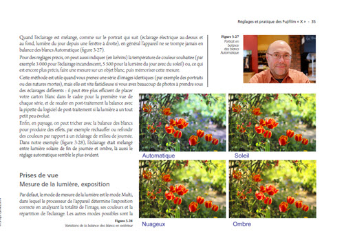 Guide pratique des Fujifilms X-Pro1, X-E2 et X-T1 + 17 tests d'objectifs