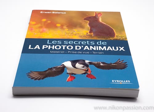 Les secrets de la photo d'animaux, par Erwan Balança