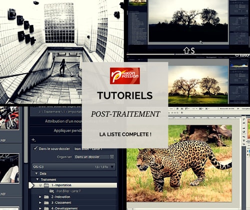 Tutoriels Gestion et Traitement photo gratuits : la liste complète