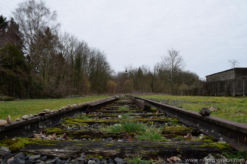 Exemple de photo faite avec le Nikon D5300