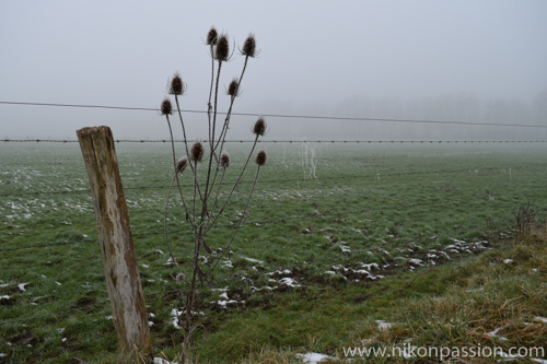 Test terrain Nikon D3300