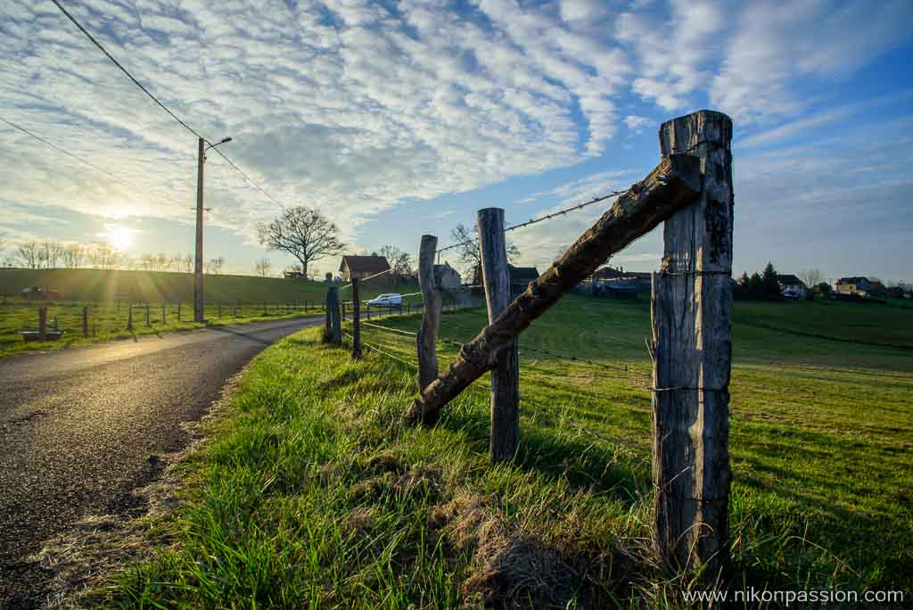 Les bases de la photo: ouverture, temps de pose, sensibilité, focale, profondeur de champ