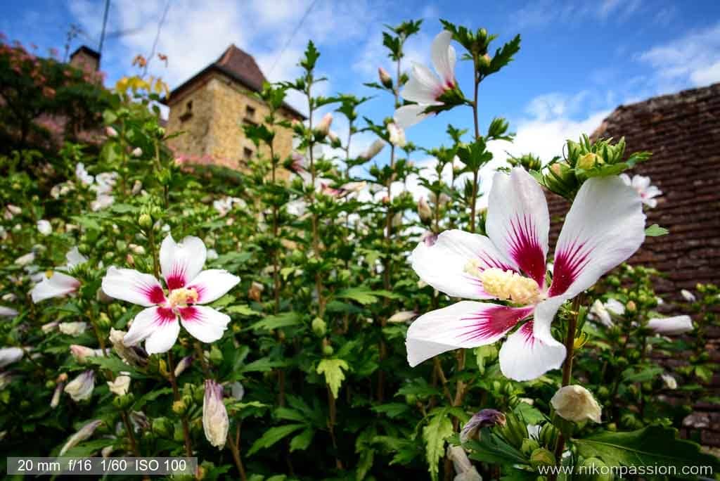 Les bases de la photo: ouverture, temps de pose, sensibilité, focale, profondeur de champ