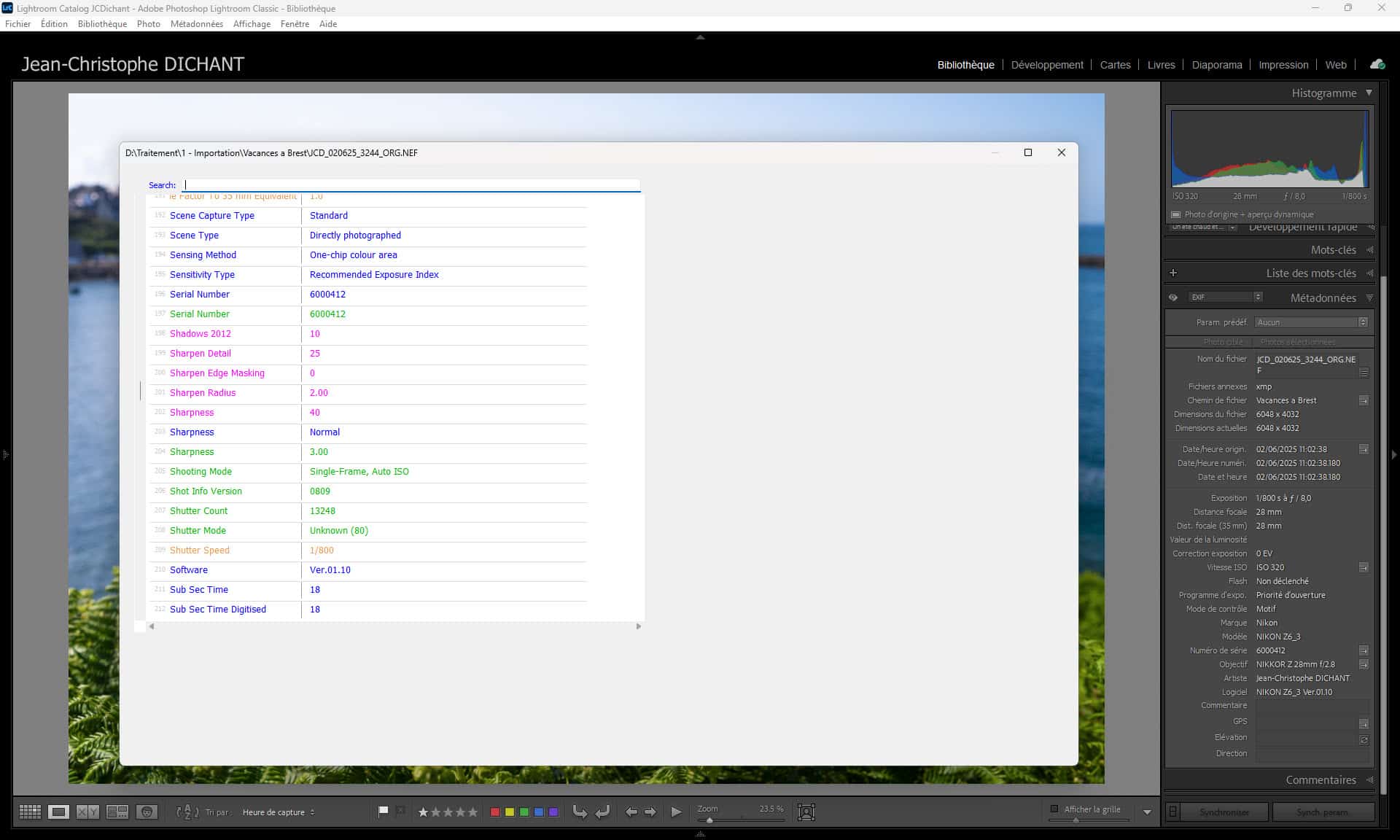 Qu'est-ce que les données EXIF : définition, lecture et utilisation en photographie