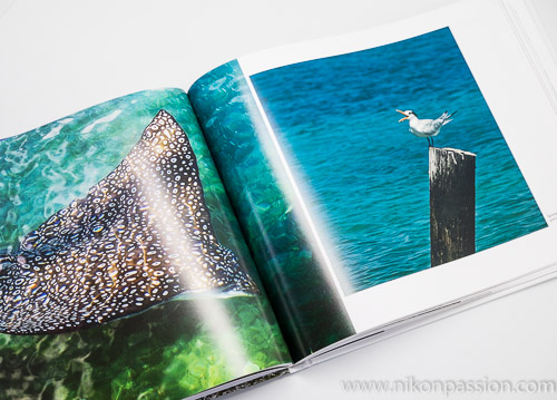 Eleuthera - Photographies par Marc Coeffic et Harry Paungger