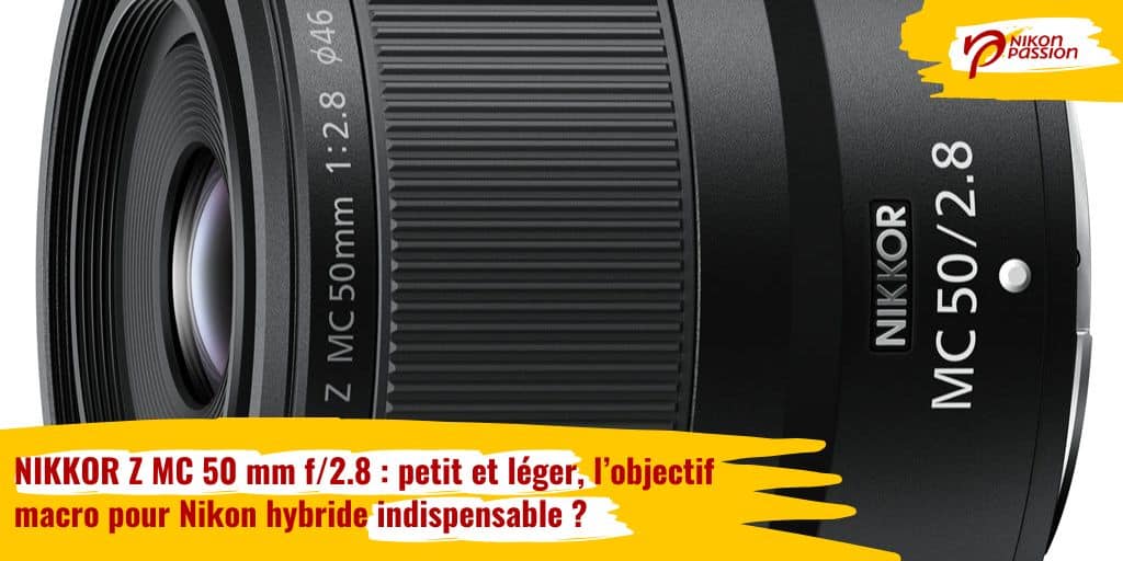 NIKKOR Z MC 50mm f/2.8 : petit et léger, l'objectif macro pour Nikon hybride