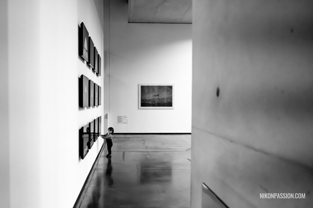 Cadrage et composition en photo : Chacun des trois espaces dispose de la même surface dans le cadre, ce qui participe à l'harmonie de l'ensemble