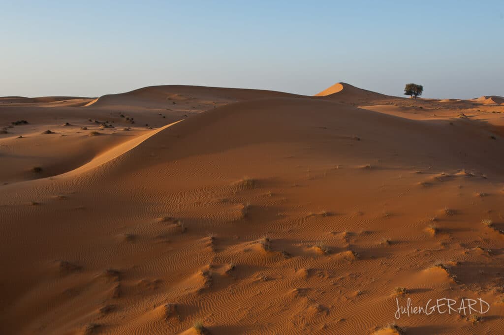 Comment faire des photos depuis une montgolfière - Emirats Arabes Unis - © Julien Gérard - tous droits réservés