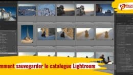 Comment sauvegarder le catalogue Lightroom