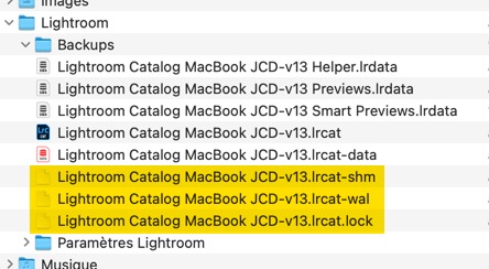 Lightroom Classic fichiers de verrouillage