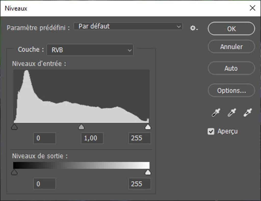 L'histogramme d'une photo vu dans Photoshop