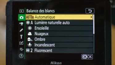 Comment régler la balance des blancs en photo numérique