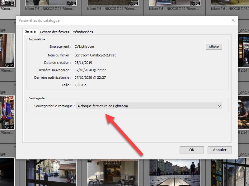 Comment faire la Sauvegarde du catalogue Lightroom