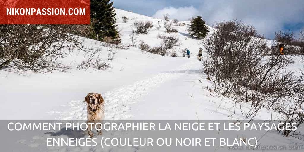 Comment photographier la neige et les paysages enneigés (couleur ou ...