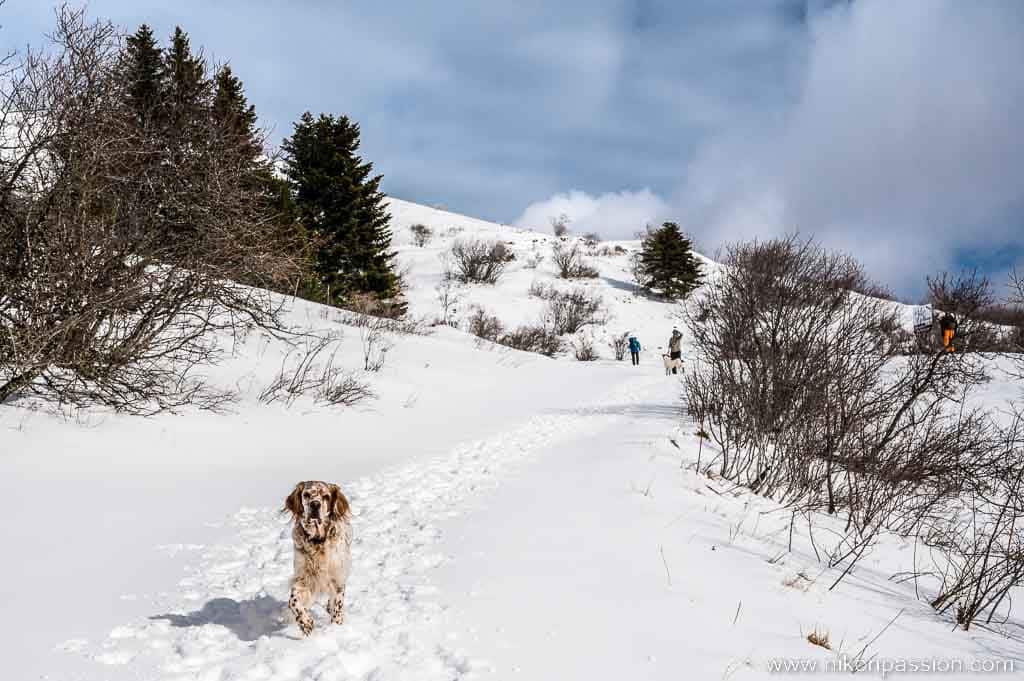 Comment photographier la neige et les paysages enneigés (couleur ou noir et blanc)