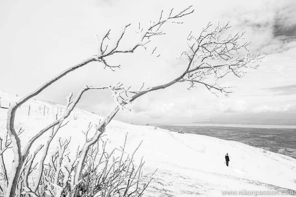 Photographier la neige : osez le noir et blanc !