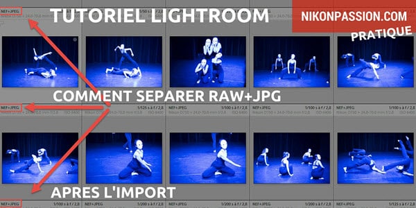 lightroom-separer-raw-nef-jpg-apres-import.jpg