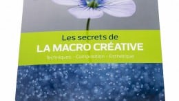 Les secrets de la macro créative: techniques, esthétique