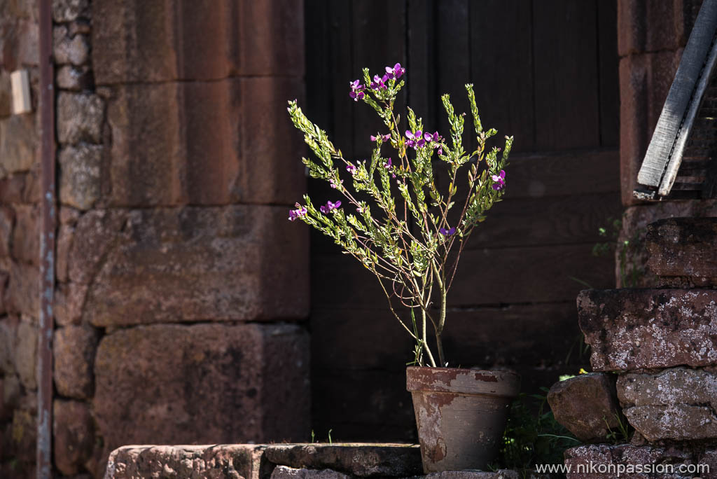 Photos de paysage urbain avec un téléobjectif à Collonges la Rouge