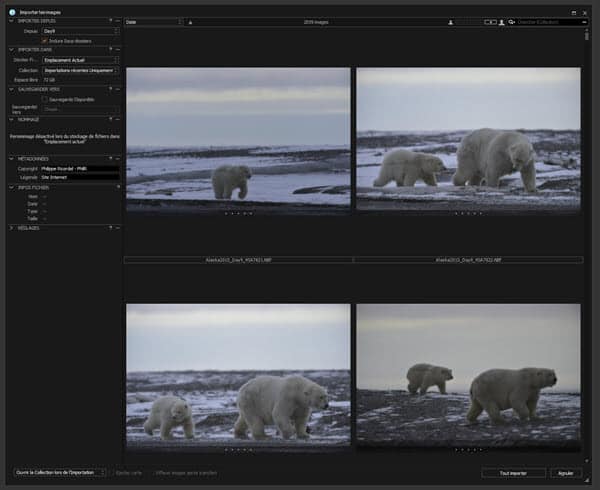 Tutoriel Capture One Pro C1Pro en français