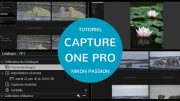 Tutoriel Capture One Pro : quel mode choisir entre catalogue et session