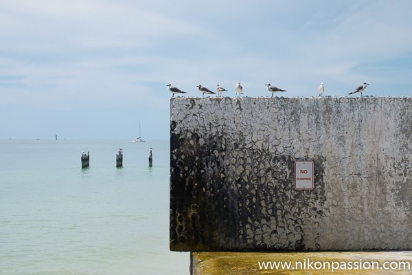 Photographie de paysage : Key West Floride