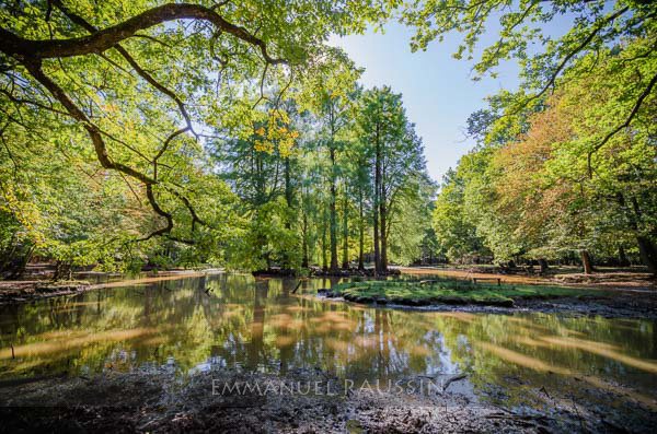 Concours Photo Spécial Expo Salon de la Photo