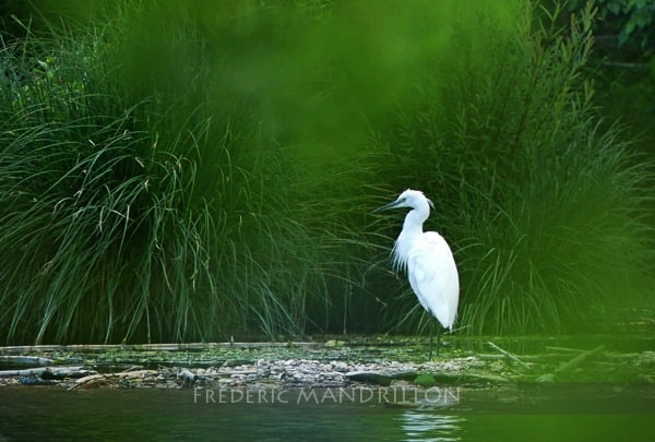 Concours Photo Spécial Expo Salon de la Photo