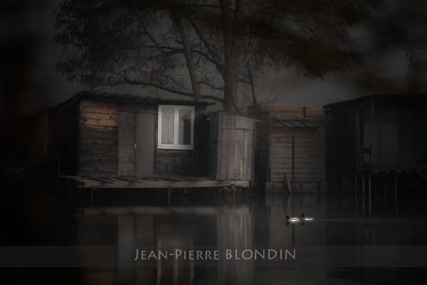 Concours Photo Spécial Expo Salon de la Photo