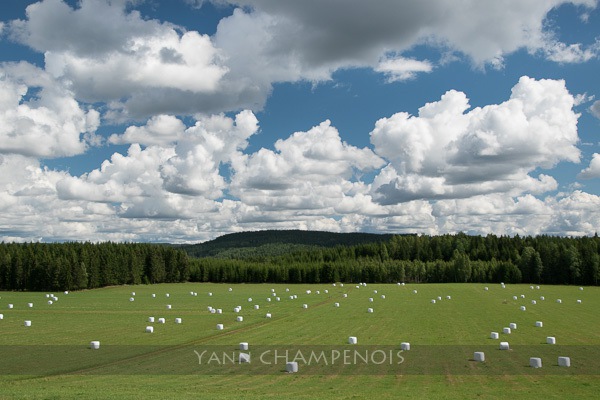 Concours Photo Spécial Expo Salon de la Photo