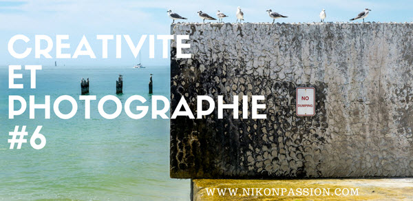 Comment devenir un photographe créatif en fuyant les avis positifs