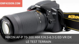 Test Nikon AF-P 70-300 mm f/4.5-6.3 G ED VR DX